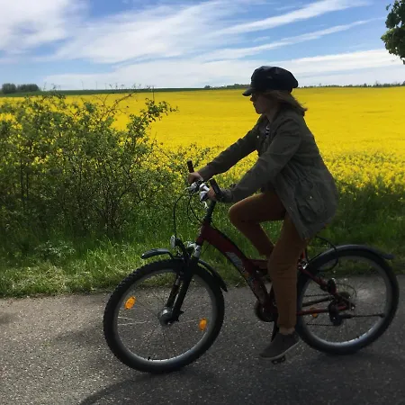 Vakantieboerderij La Petite France Parnowo