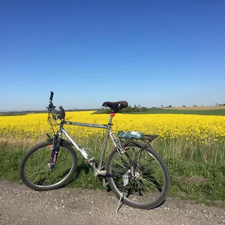 Vakantieboerderij La Petite France Parnowo