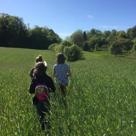 La Petite France *